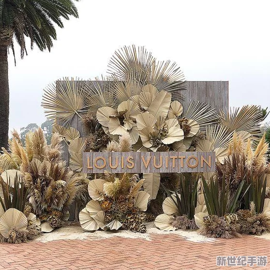 深度：灵魂装置全攻略秘籍，一站式通关指南&策略专区！