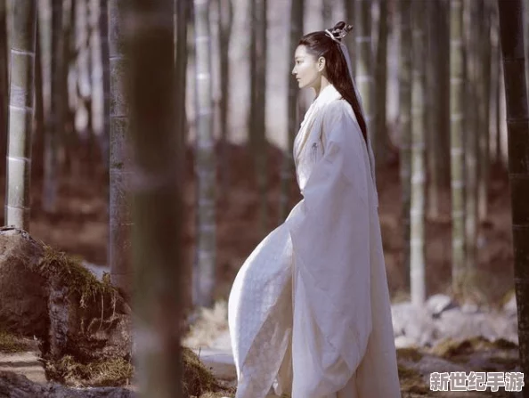 《宁婉清穿成爹爹小妾的小说》：一段扑朔迷离的历史扭曲，谁能解开她的命运之谜？