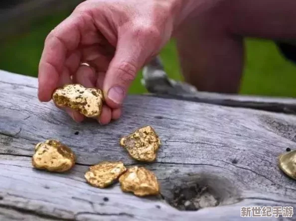 淘金者1号实战宝典：揭秘成功之路，深入黄金之地的寻宝秘笈与策略