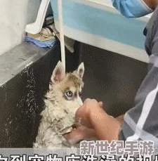 宝宝洗澡大挑战：解锁眼神力MAX的图文通关秘籍，助你轻松呵护宝贝每一刻！