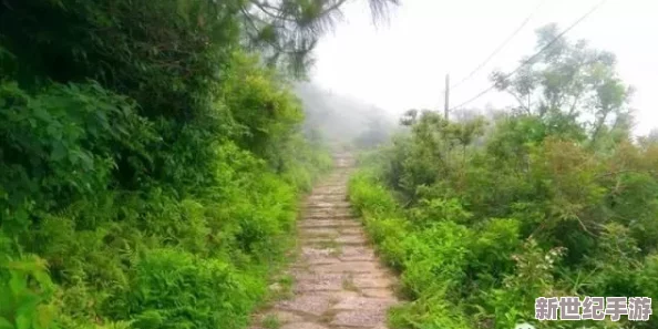 烟雨朦胧探秘径，解锁双王镇隐秘前往之道
