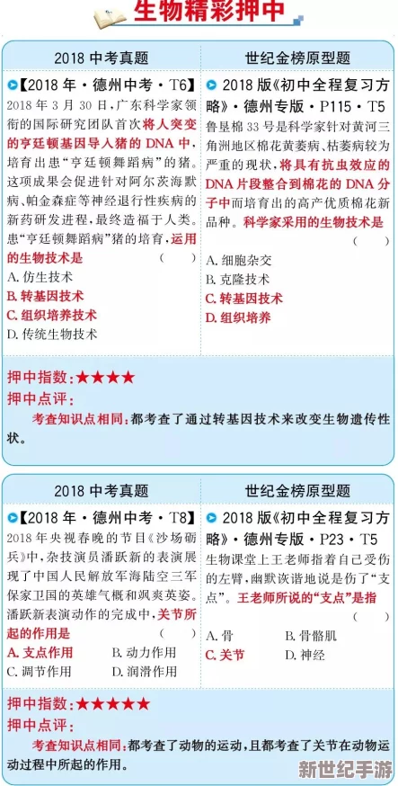 生物原型启示录：解锁幂次分裂流派的高级策略与实战技巧指南