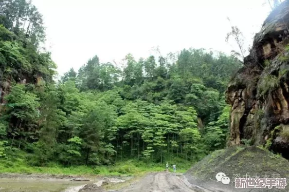 《远征：泥泞奔驰》首季震撼上线，携手共闯新增合作模式，揭秘幽深洞穴探险新篇章！