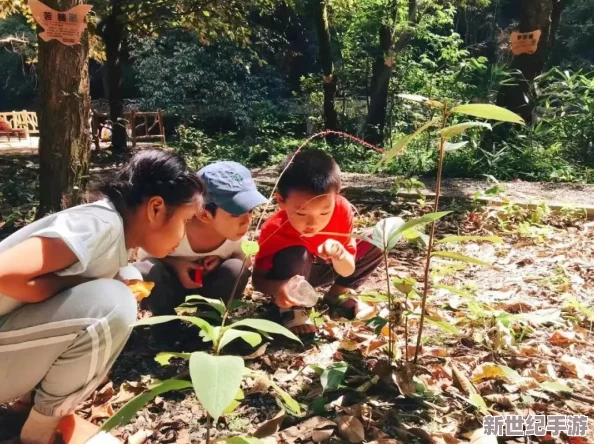 探索动物森林隐秘法则：揭秘昊阳英雄的非凡之旅与生态守护者传奇