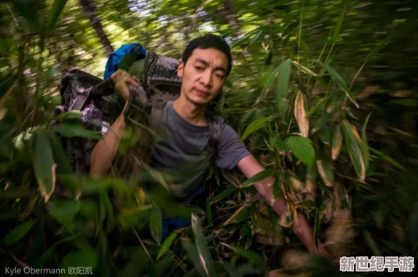 探索动物森林隐秘法则：揭秘昊阳英雄的非凡之旅与生态守护者传奇