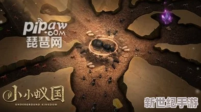 《小小蚁国》游戏攻略：全面解锁最新兑换码获取途径与独家福利代码大全集！