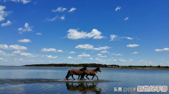 《怪物猎人：荒野征途》PC版极致体验配置指南，畅享狩猎之旅的硬件需求全解析