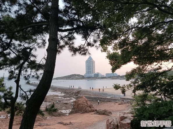 《战争雷霆》独家精选：性能卓越，历史重现——最佳飞行体验专属飞机礼包大赏