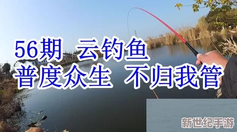 太湖垂钓：江湖隐者揭秘湖畔渔获，深度剖析钓鱼经济下的财富潜力与收益奥秘