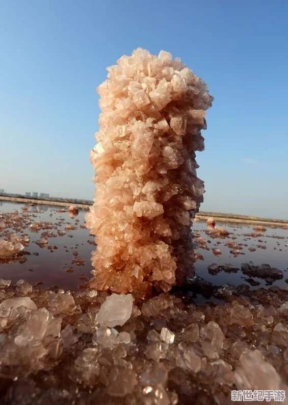 探索DNF晶体仓库奥秘：揭秘哪一类璀璨结晶蕴藏无尽光芒之力