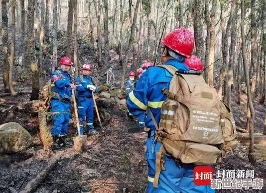 《地下城与勇士》探寻：揭秘专属乌龟副本热门频道，玩家必知的集结之地指南