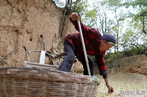 光遇游戏探索：寻找那位传说中的做饭老奶奶位置指南