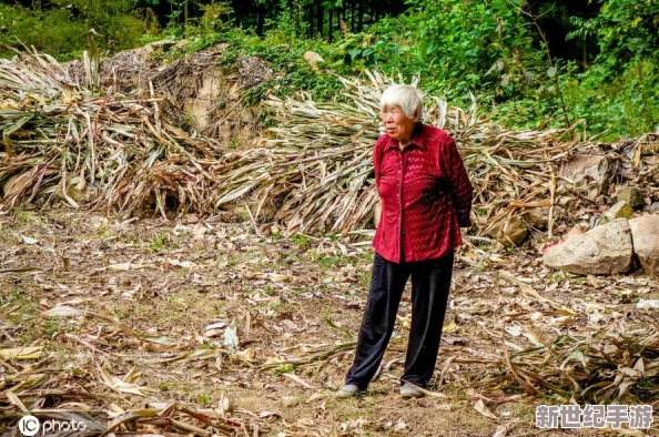 光遇游戏探索：寻找那位传说中的做饭老奶奶位置指南