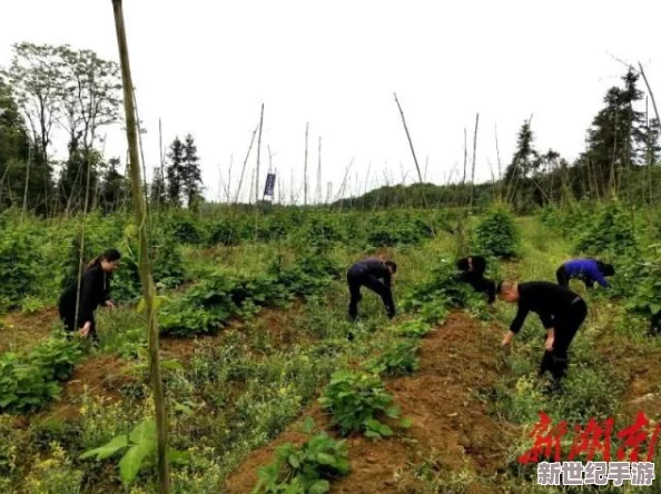 双人房间里拔萝卜：一对情侣在家中进行趣味种植活动，收获满满乐趣与惊喜