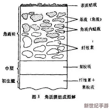 17c05.cpp吃瓜爆料：关于程序员生活的趣事与行业内幕，带你了解不为人知的故事与经历