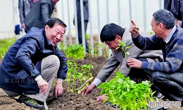 告别升级滞后，掌握高效秘诀：每日经验值满载攻略大公开