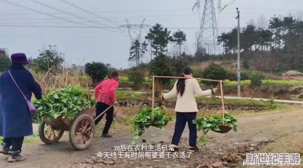 男女拔萝卜：在乡村田野中，男女共同参与的传统活动展现了团结与合作的精神，传承着农耕文化的魅力