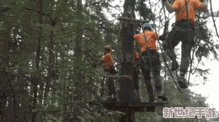 探索丛林冒险新境界：热门与独特模式全盘点，哪一款能激发你的探险欲？