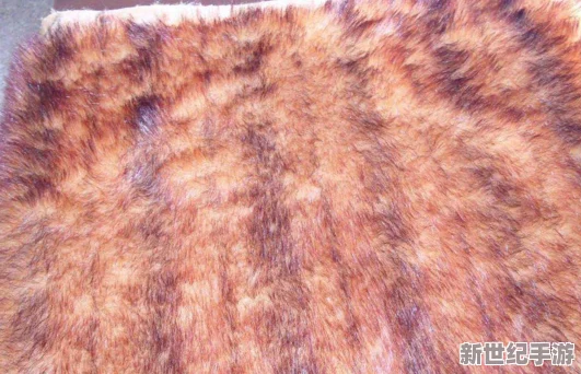 AAAA及毛皮是纯还是仿？用户评价：质量超出预期，手感柔软，值得购买！