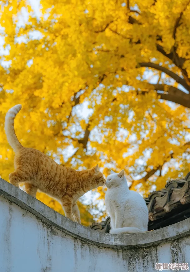 “小色猫：小小身影展现出无限魅力与温暖，成为心灵的陪伴与家庭的欢乐”
