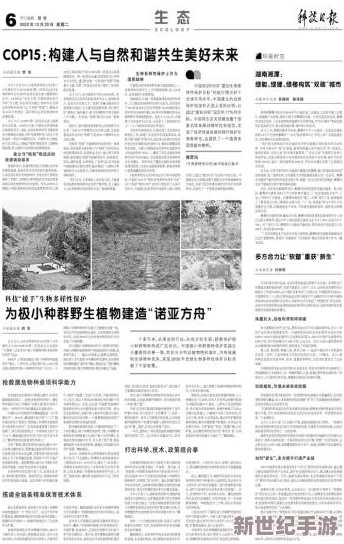 人人乐在其中，人人操人人乐，和谐共生的美好愿景