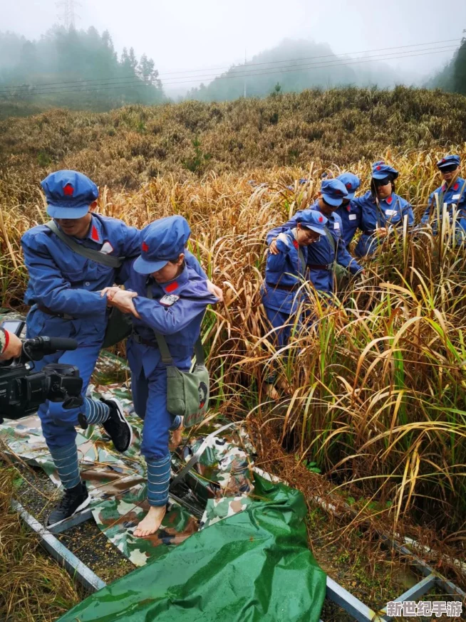 双手游走在一丛茂密，疑似与神秘人物有不解之缘