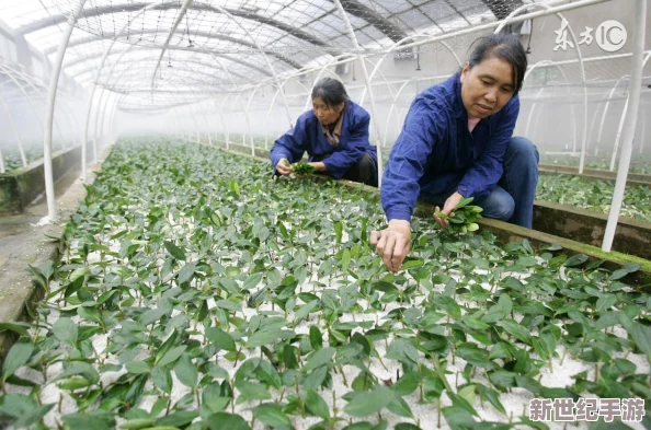 丝瓜草莓视频：2024年最受欢迎的短视频平台，带你领略新潮流与创意风尚
