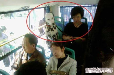 公交车最后一排被C林静媮拍，疑似与神秘男子有染！