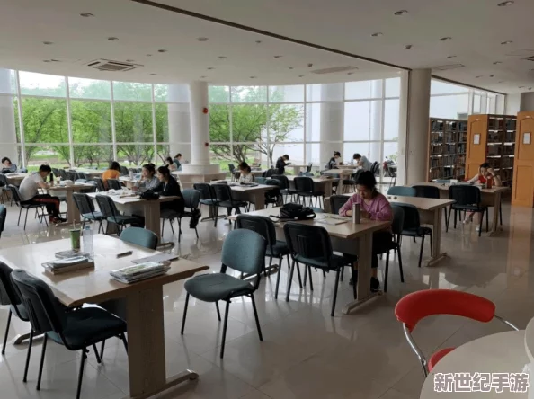 你急什么妈妈又不是不让你，2024年高考改革政策引发学生焦虑与期待的双重心态