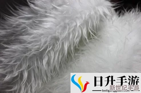 AAAA及毛皮属于什么档次？从品质、用途和市场价值来看，如何评估其在毛皮行业中的地位与影响力？