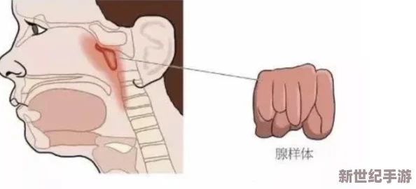 肥大BBW肥大βBw肥BBW高，网友纷纷表示对这一现象的关注与讨论，认为其反映了社会对身体多样性的接受度逐渐提高