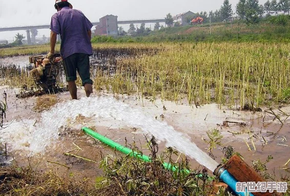 苏软软优质灌溉系统：提升农业生产效率，节约水资源，实现可持续发展之路