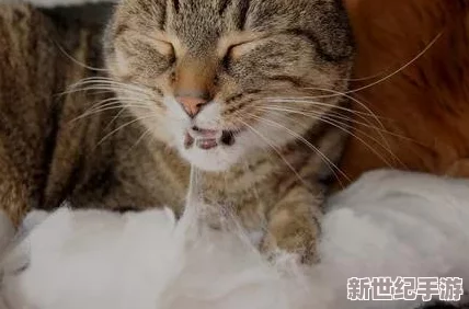 除了x玩具还可以用什么替代：多样化替代品及其优缺点分析，提高儿童玩乐体验与创造力的选择建议