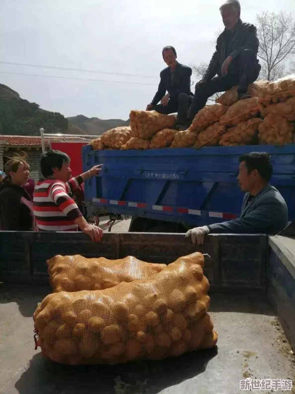 男女拔萝卜：观察男女在共同劳动中的合作与竞争心理差异，以及对传统农业文化的传承与发展