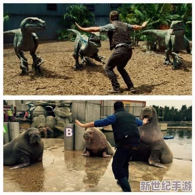 《狂野牧场奇遇记》：体验套马牛仔的非凡英姿与疯狂动物园的魅力探索