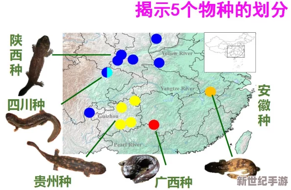 琴羽美绪菜水：新研究揭示其在环境保护和资源利用中的潜力与应用前景