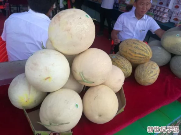 蜜瓜啦啦啦菠萝蜜啦啦啦歌曲：这是一首充满活力和趣味的音乐作品，融合了甜美的旋律与欢快的歌词，让人感受到夏日水果的清新与快乐