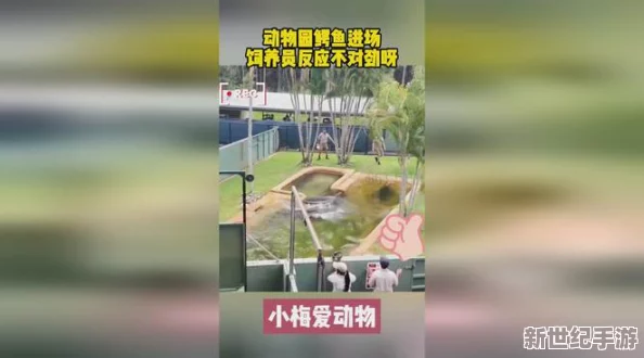 探秘疯狂动物园：鳄鱼间食物链奥秘——为何同类相食难以成行？
