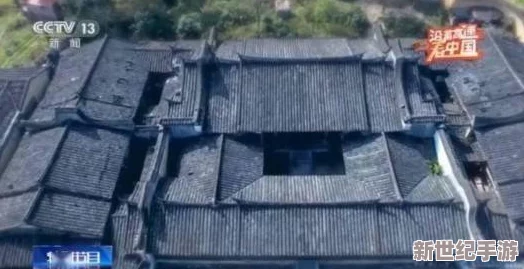 老人森林交易10元图片引发热议，探讨其背后的文化意义与社会影响分析