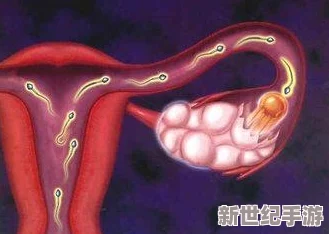 王者女英雄被阴道：游戏中的性别表现与角色塑造的深层次分析与探讨