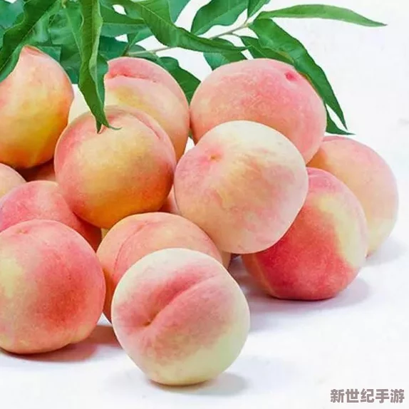 水蜜桃成 人：探讨水蜜桃的成熟过程及其在水果市场中的重要性与经济价值，了解消费者对这一美味水果的偏好