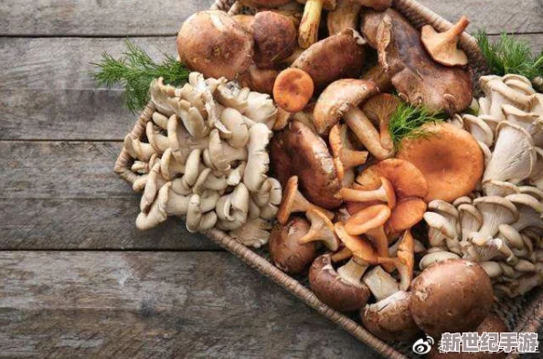 17c爆料 独家揭秘蘑菇：深入分析蘑菇的种类、营养价值及其在现代饮食中的重要性，带你了解这一神奇食材的奥秘
