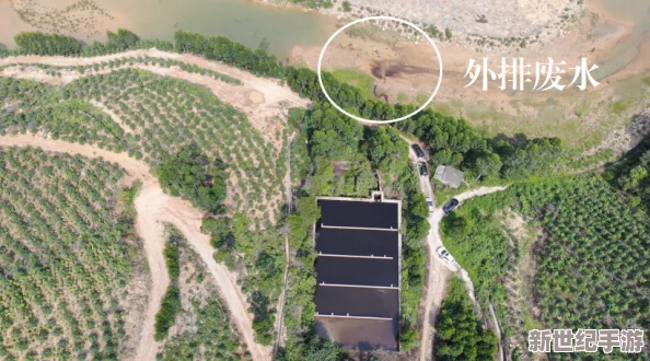 白鹿的隐身部位黄：解析白鹿的生态习性及其在自然界中的生存策略与适应机制