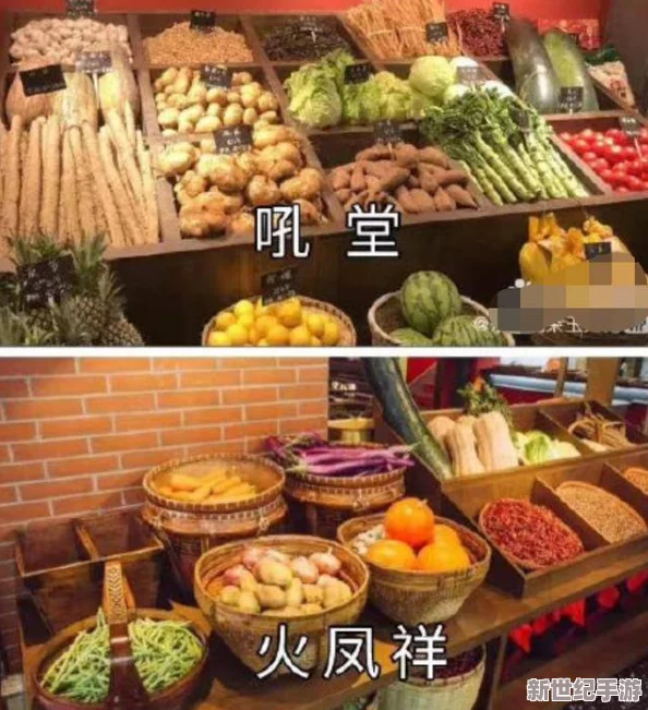女尤日韩女尤网最新爆料免费：深度分析事件背后的真相与影响，网友热议不断引发关注