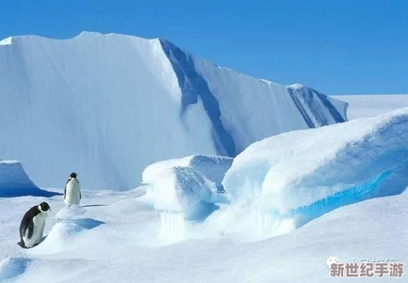神秘入口：传闻某地发现通往异世界的秘密通道，专家称或与古老文明有关，引发众多探险者前来考察！