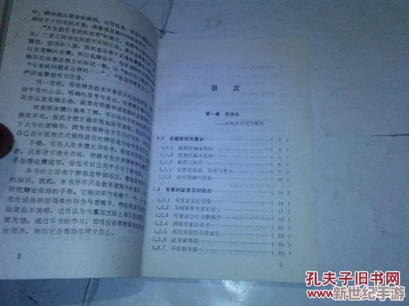 舌战玉门关的技巧：从历史背景到辩论策略的全面分析与实践指导