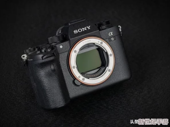 每日大赛反差大赛网：一个汇聚各类比赛信息的平台，展示不同赛事之间的精彩对比与独特魅力