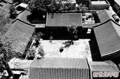 海角真实乱伦：揭示在偏远地区家庭关系复杂性与社会襟忌交织下的真实故事，探讨人性深处的挣扎与冲突