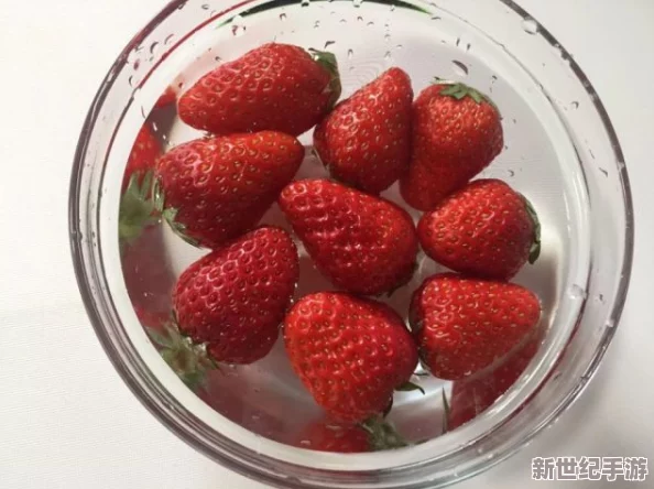 草莓视频18：一款专注于成品人内容分享的平台，提供丰富多样的视频资源，满足用户的不同需求与兴趣