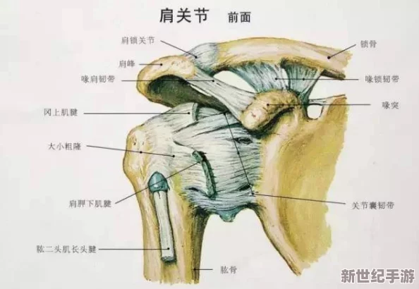 白唬美茓：探讨这一文化现象背后的艺术表现与社会影响，揭示其在当代审美中的独特地位与意义